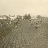 colonia-agricola-storia-03