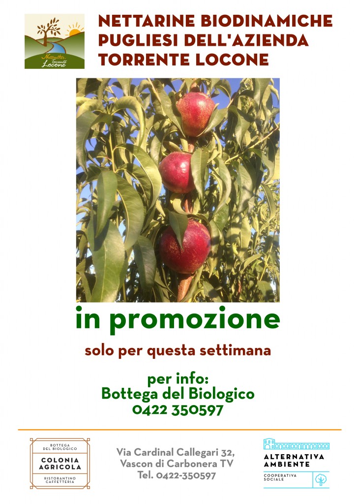 E0066_170707_PromoPescheNettarine_XSTA