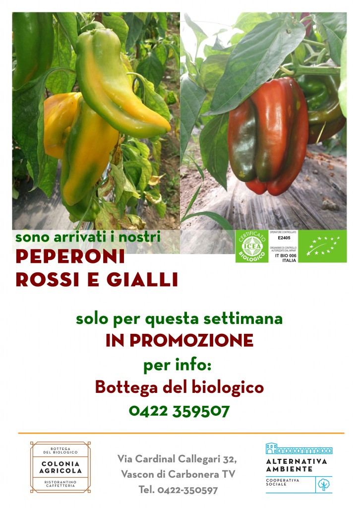 E0069_170804_PromoPeperoni_XSTA