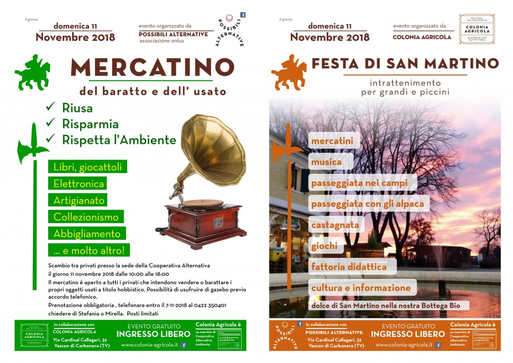 Festa san martino Volantino
