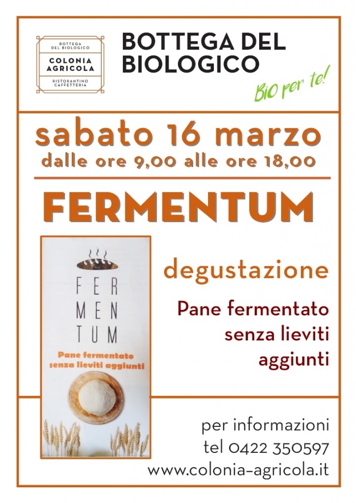 fermentum pane fermentato
