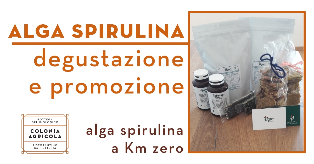 Alga spirulina