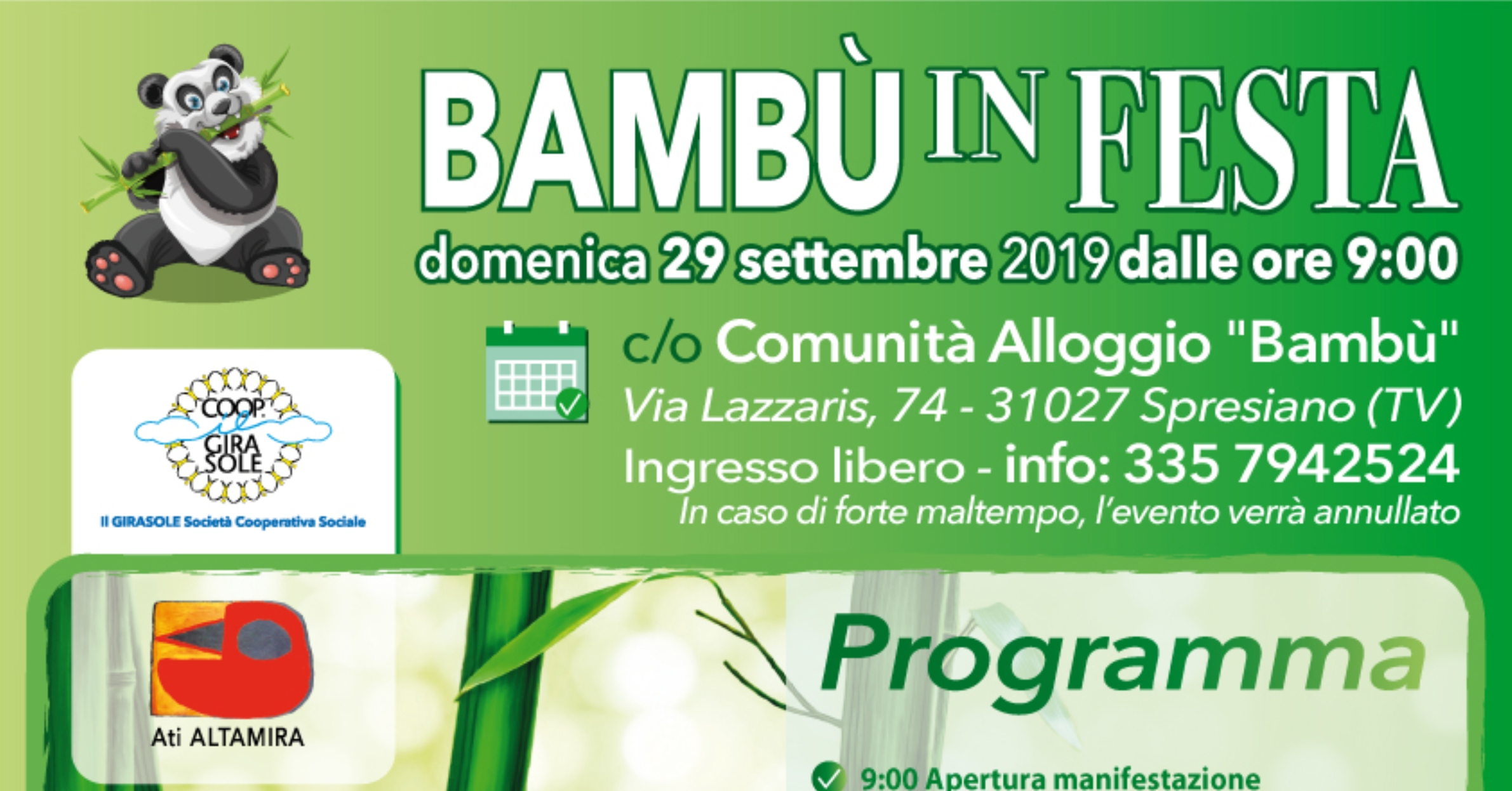 Bambù in festa