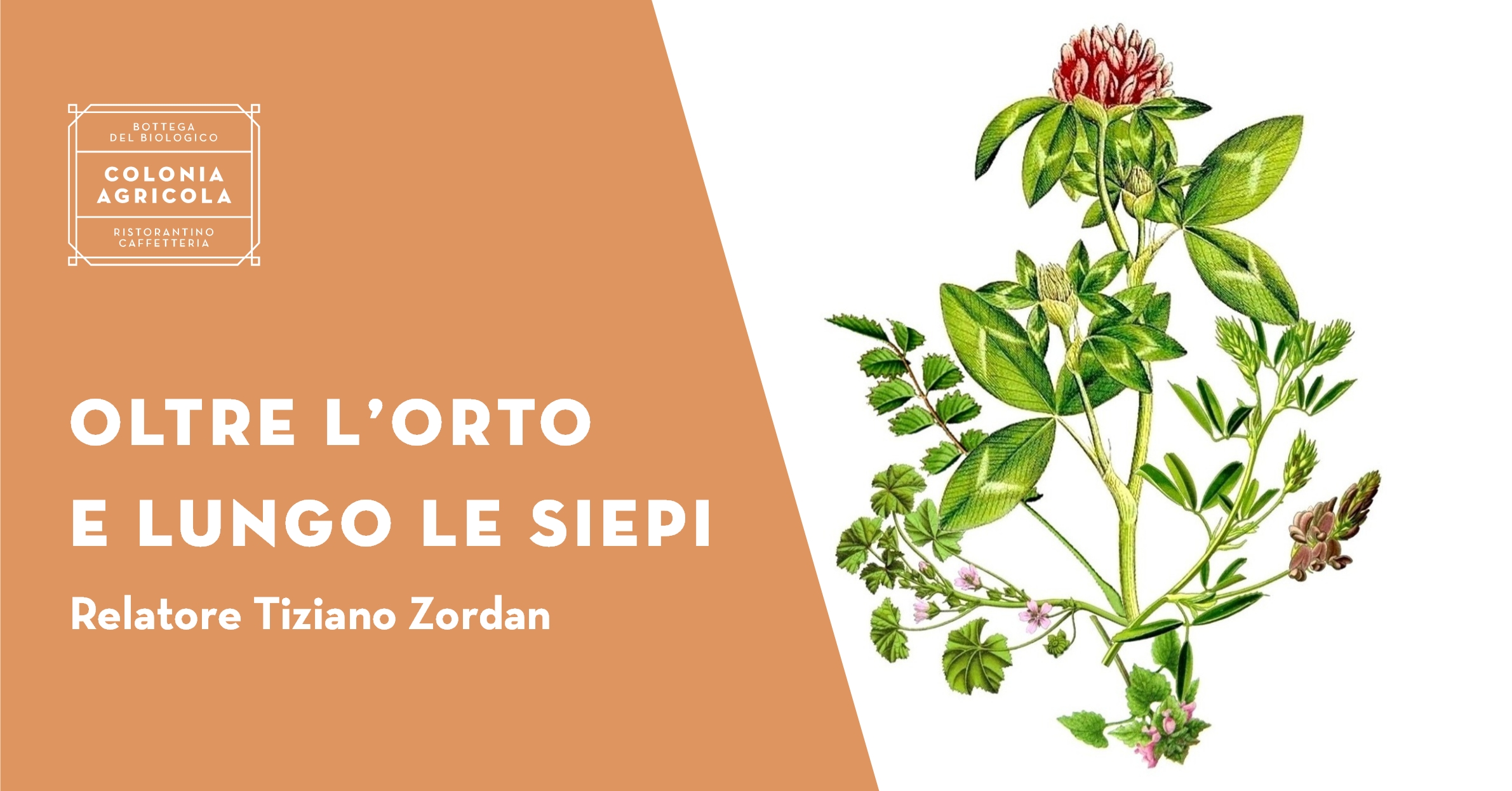 Oltre l'orto