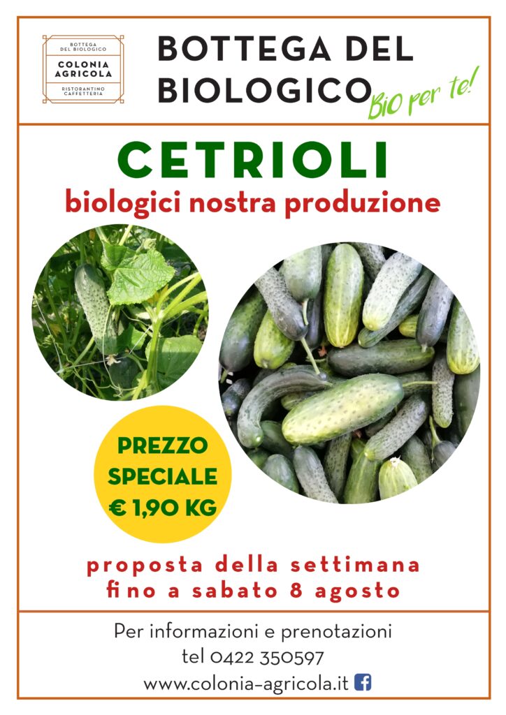 Promo cetrioli nostra produzione
