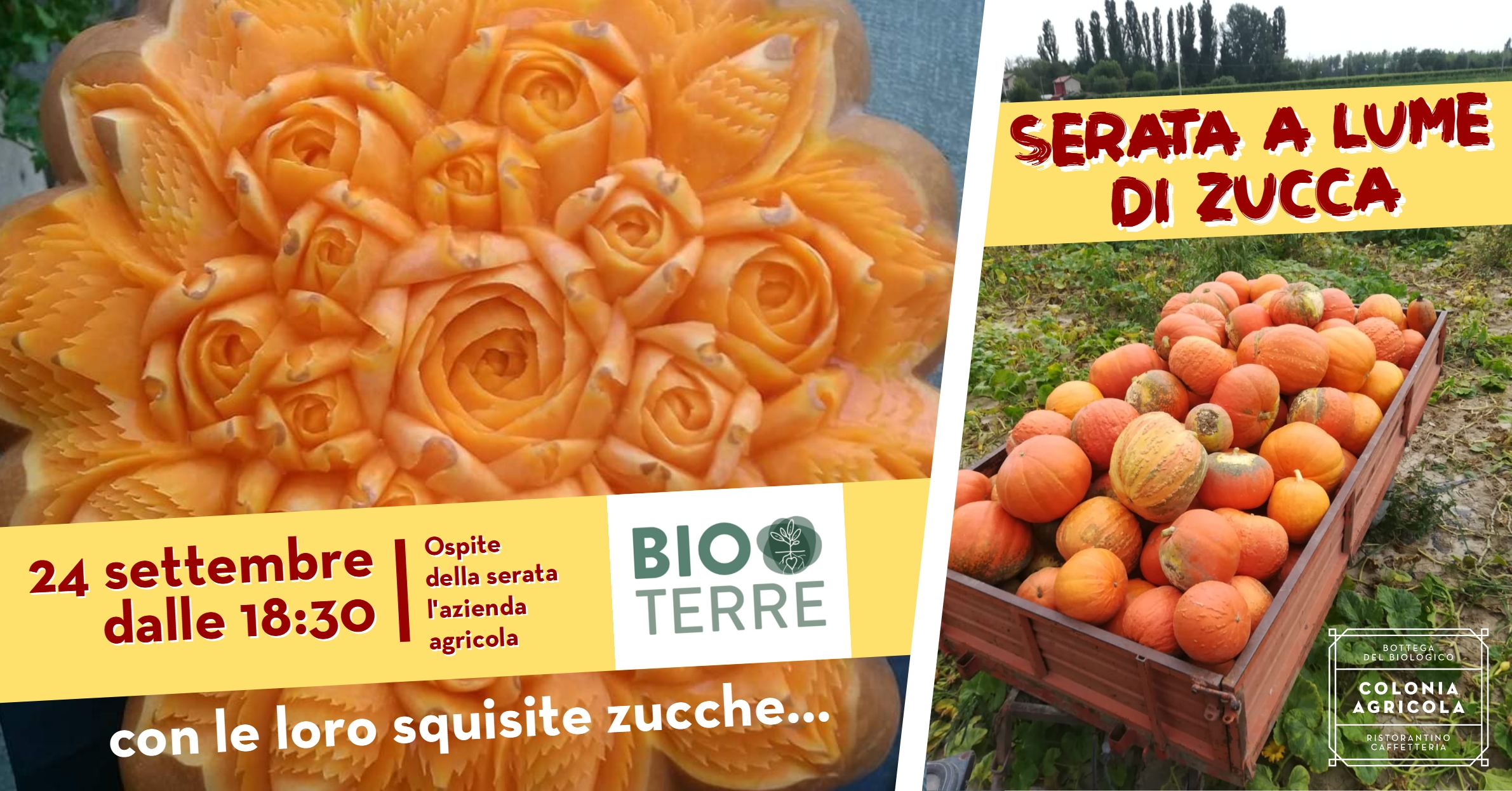 Serata a lume di zucca