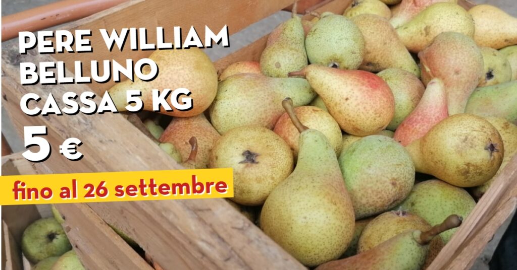 Promo Pere Williams