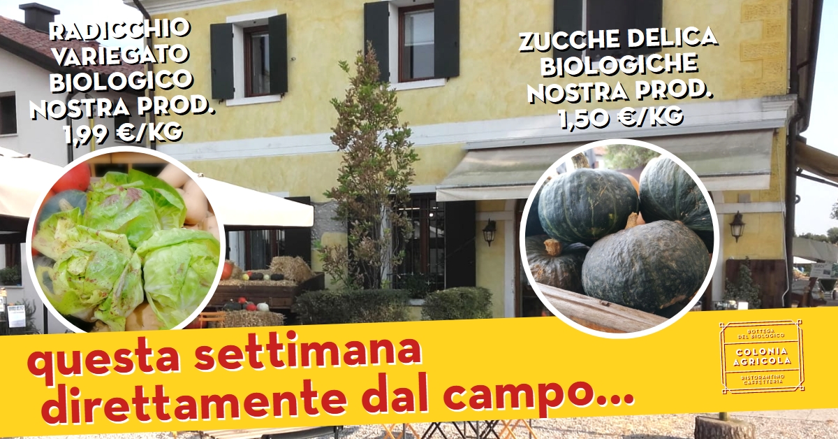 Promo radicchio variegato zucche delica nostra produzione