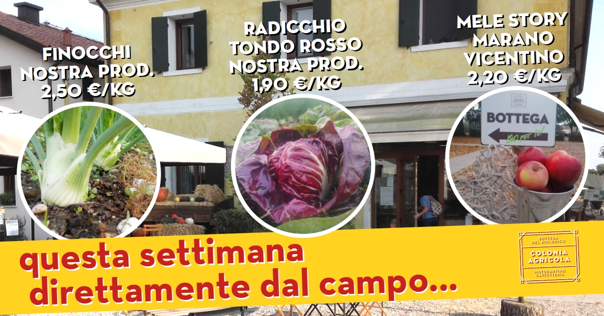 Promo Finocchio Mele Radicchio