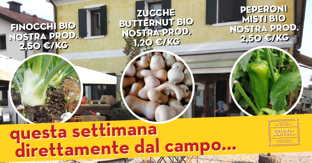 Offerta della settimana: Finocchio, Zucca Butternut e Peperoni misti tutto biologico di nostra produzione