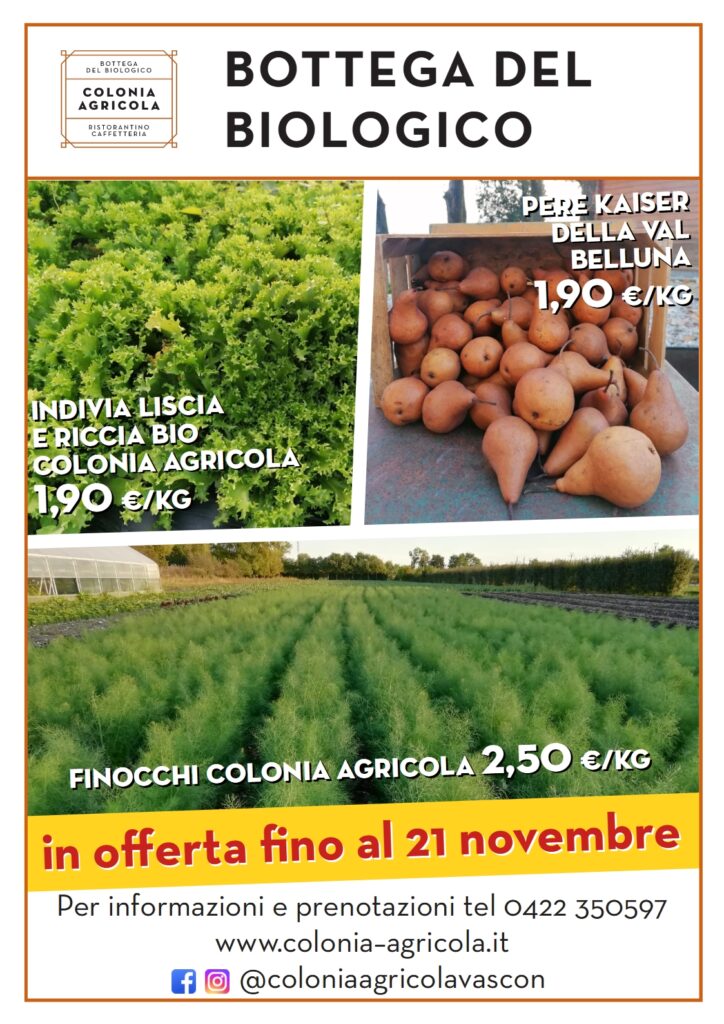 Promo Finocchio Indivia Pere 