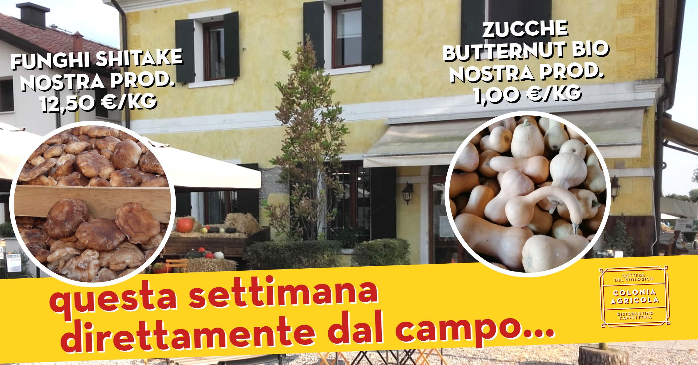 Offerta della settimana: Funghi shitake e Zucca Butternut. Tutto biologico di nostra produzione. In offerta fino al 28 novembre