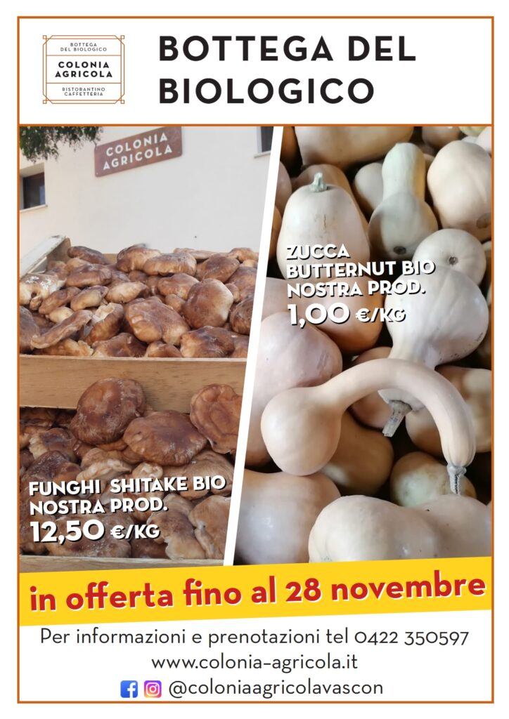 Offerta della settimana: Funghi shitake e Zucca Butternut. Tutto biologico di nostra produzione. In offerta fino al 28 novembre