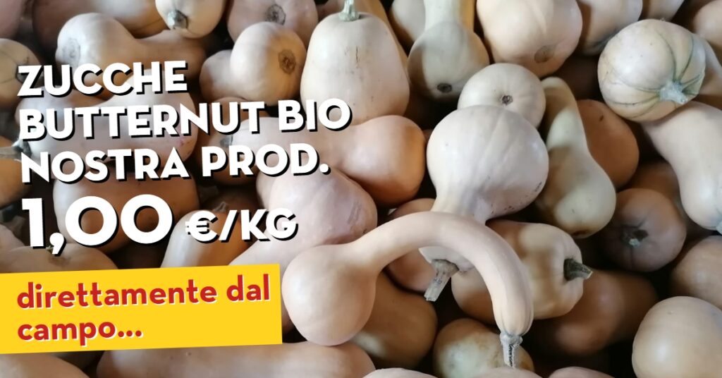 Offerta della settimana: Funghi shitake e Zucca Butternut. Tutto biologico di nostra produzione. In offerta fino al 28 novembre