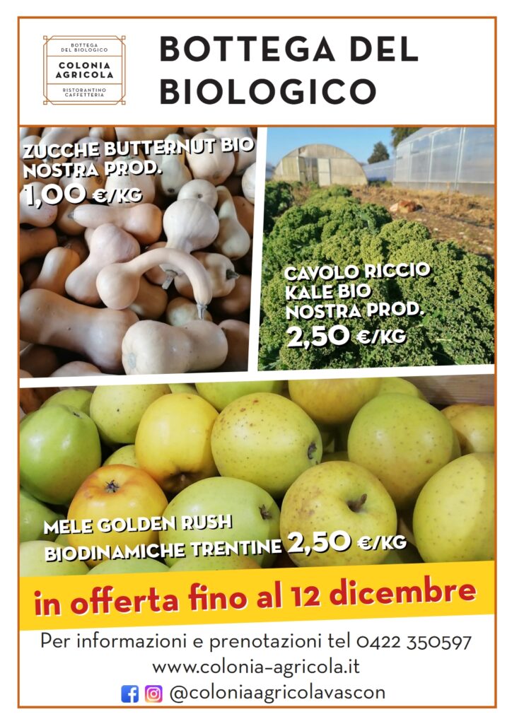 Offerta della settimana: zucche butternut bio, cavolo riccio kale bio e mele golden rush biodinamiche trentine
