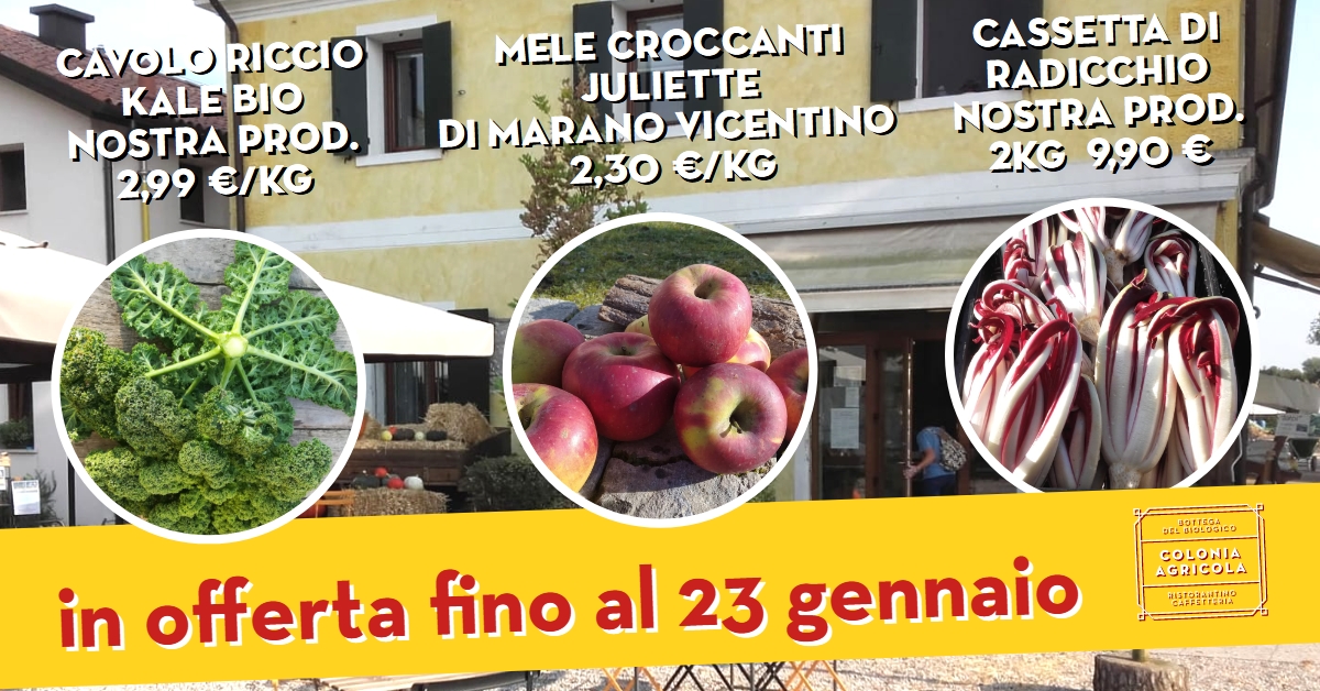 Offerta della settimana: cavolo riccio kale bio, radicchio e mele croccanti Juliette di Marano Vicentino