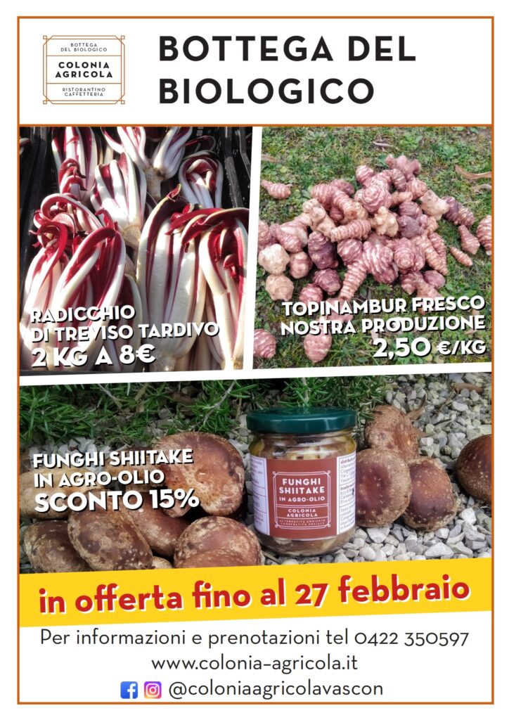 Offerta della settimana: radicchio di Treviso tardivo, topinambur e funghi shiitake in agro-olio