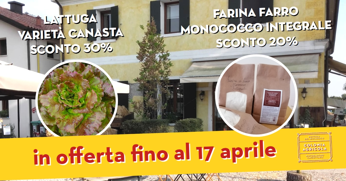 Promo bottega lattuga e farina