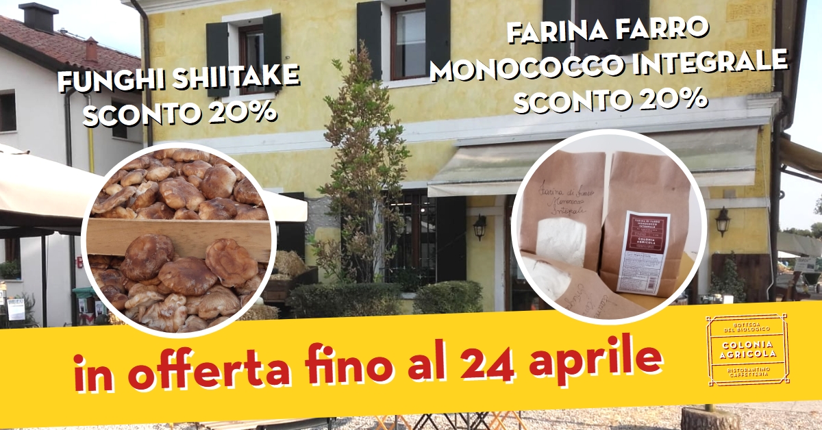 Promo bottega funghi shiitake e farina